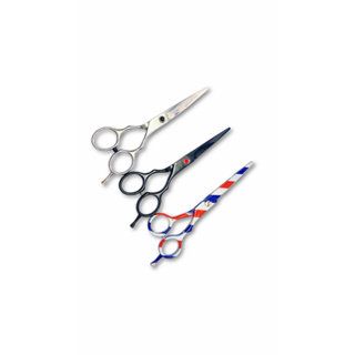 Tesoura Profissional Fio Navalha 6.0 Cabeleireiro Barbeiro Aço Inox em Oferta na Shopee