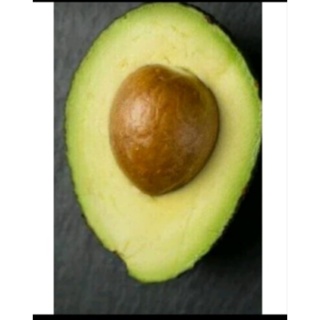 ABACATE ARTIFICIAL unidade,  DECORATIVA, REALISTA em Oferta na Shopee