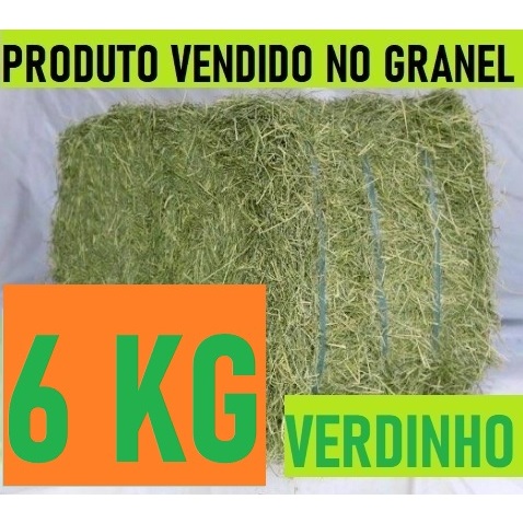 6 KG Feno Tifton 85 Verdinho Para Porquinho da India, Coelho E Roedores em Geral.