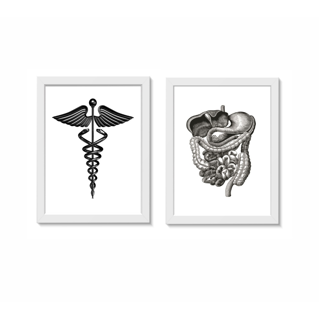 Kit 2 Quadros Decorativos Consultório Médico Medicina Molduras 20x30cm Madeira Vidro Cor Bancas