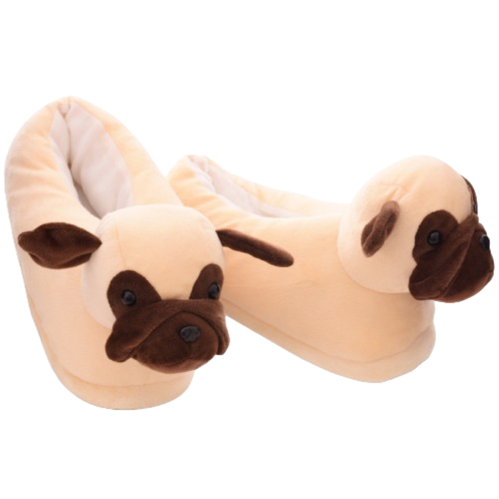 Buldogue Frances Adulto: Onde Comprar | BuscaProdutos