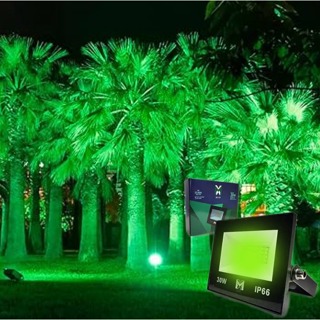 Refletor LED SMD 30w Holofote LED Verde Bivolt Para Jardim/Decoração prova d'água com proteção IP66 em Oferta na Shopee