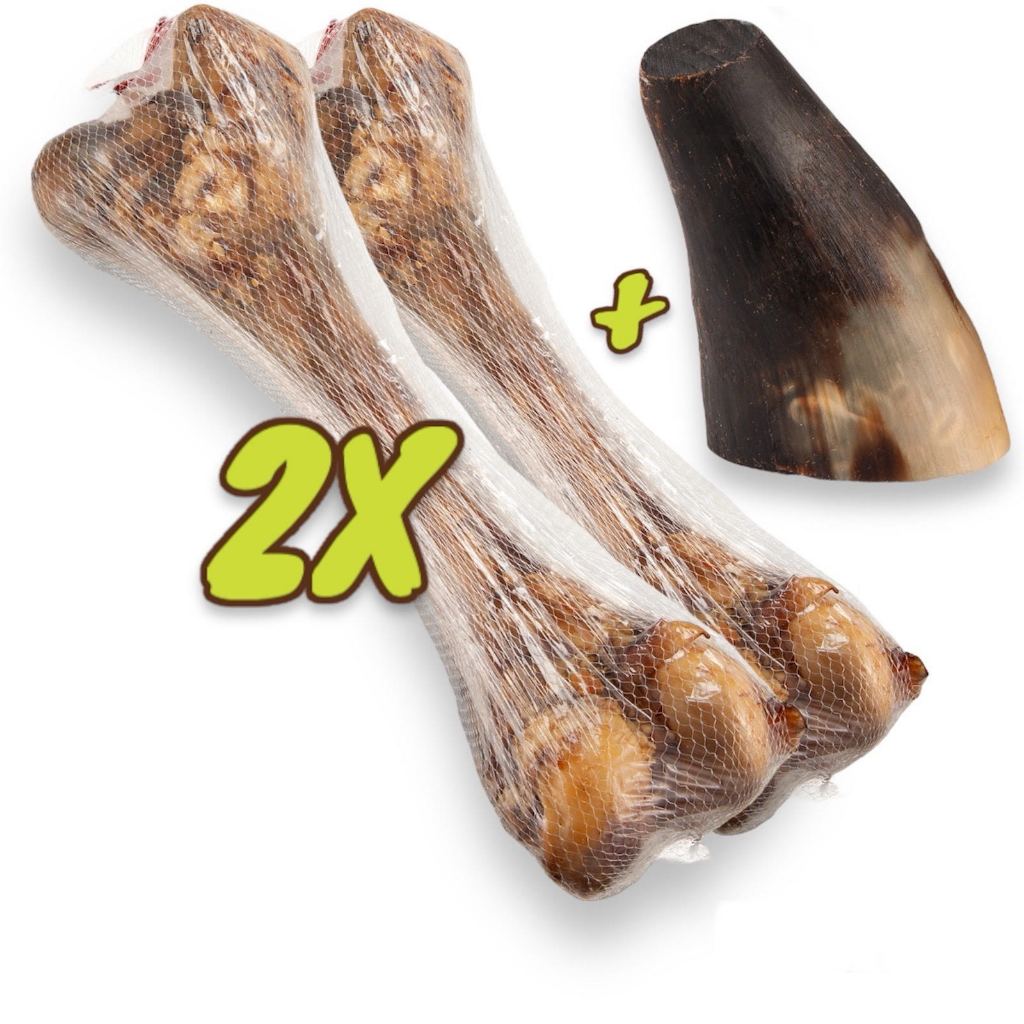 Osso Petisco Pet Fêmur Desidratado 100% Natural Defumado + Chifre Kit 2