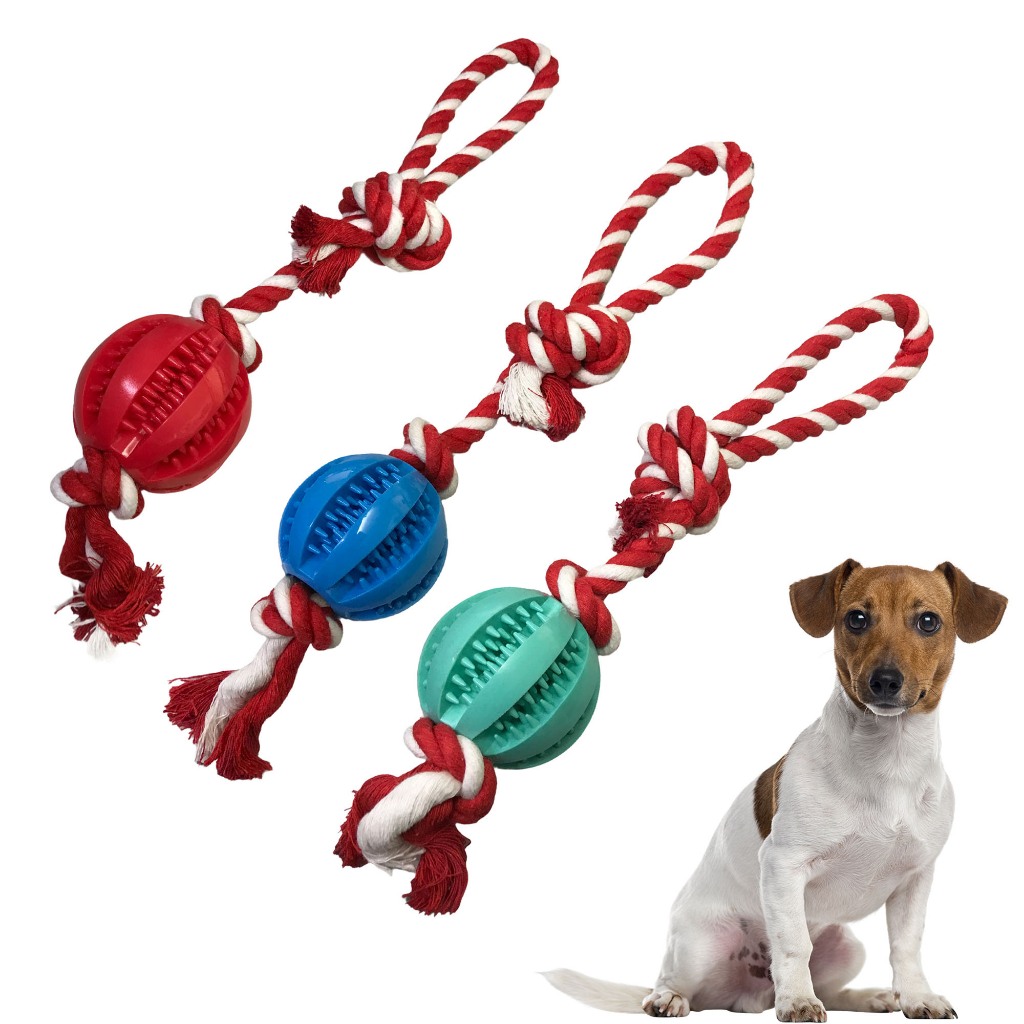 Brinquedo para Cachorro Morder: Onde Comprar | BuscaProdutos