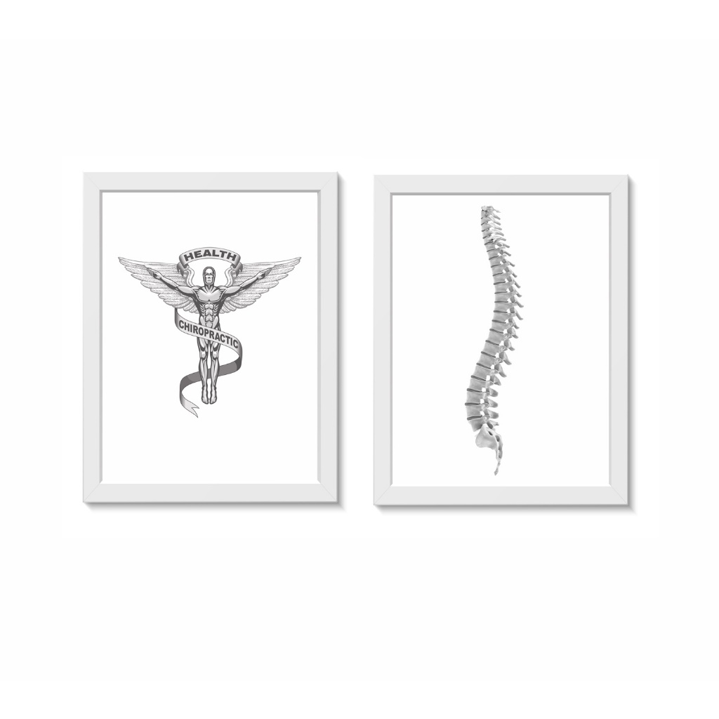 Kit 2 Quadros Decorativos Fisioterapia Quiropraxia Coluna Veretbral  Molduras 20x30cm Madeira Vidro Cor Brancas