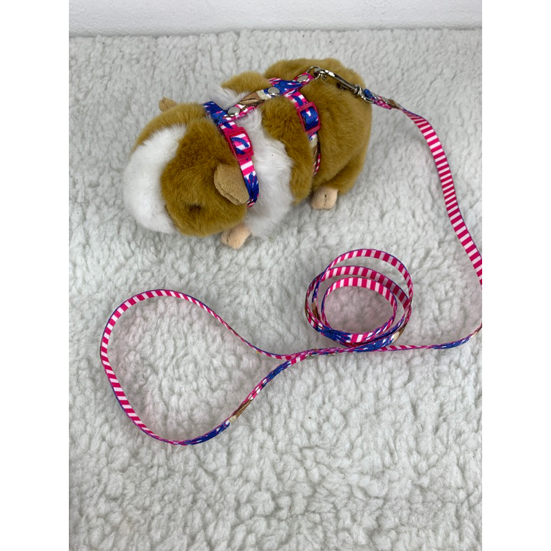 Peitoral Para Porco da Índia Não Machuca o Pet