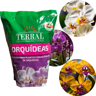 Substrato Para Orquideas 500g Terral em Oferta na Shopee