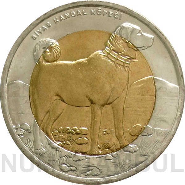 Turquia - 1 lira 2010 (cão kangal)
