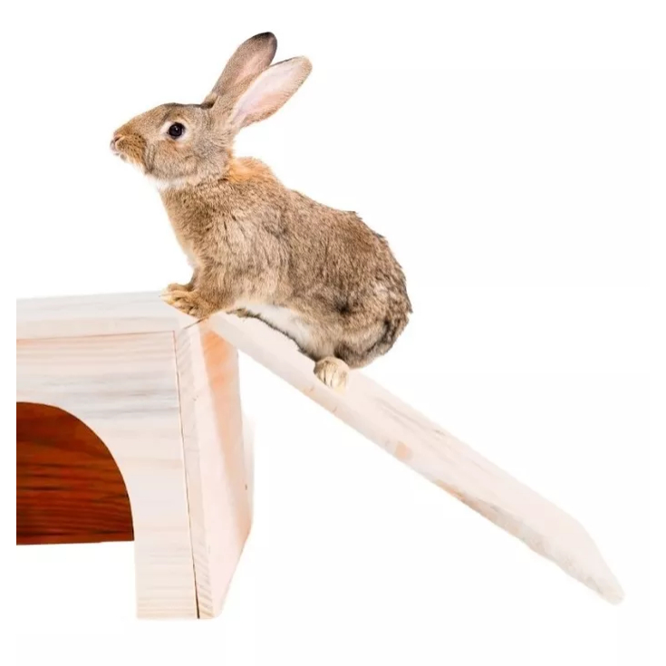 Rampa de Acesso para Coelhos e Roedores em Oferta na Shopee