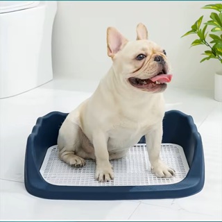 BANHEIRO REUTILIZAVEL PARA CÃES ECOLOGICO COLORIDO em Oferta na Shopee