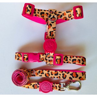 Peitoral H Anti-puxão onça rosa para cachorro em Oferta na Shopee