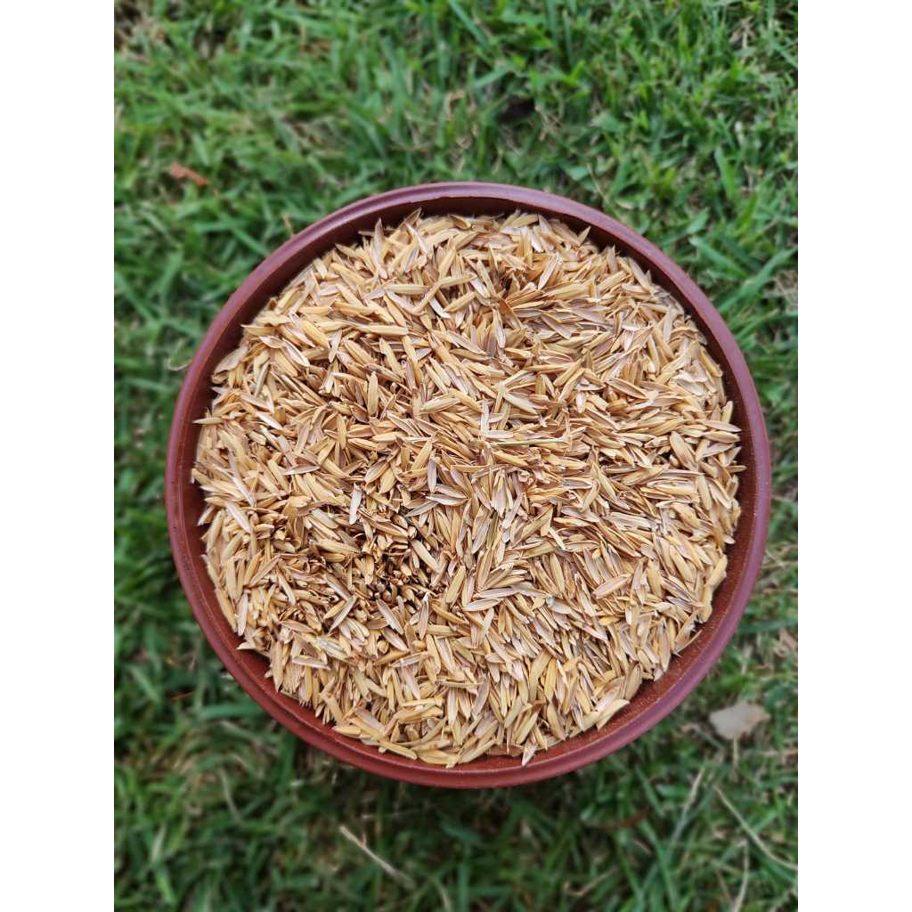 25 Litros Casca de Arroz In Natura para Substrato - Drenagem - Aeração do Solo