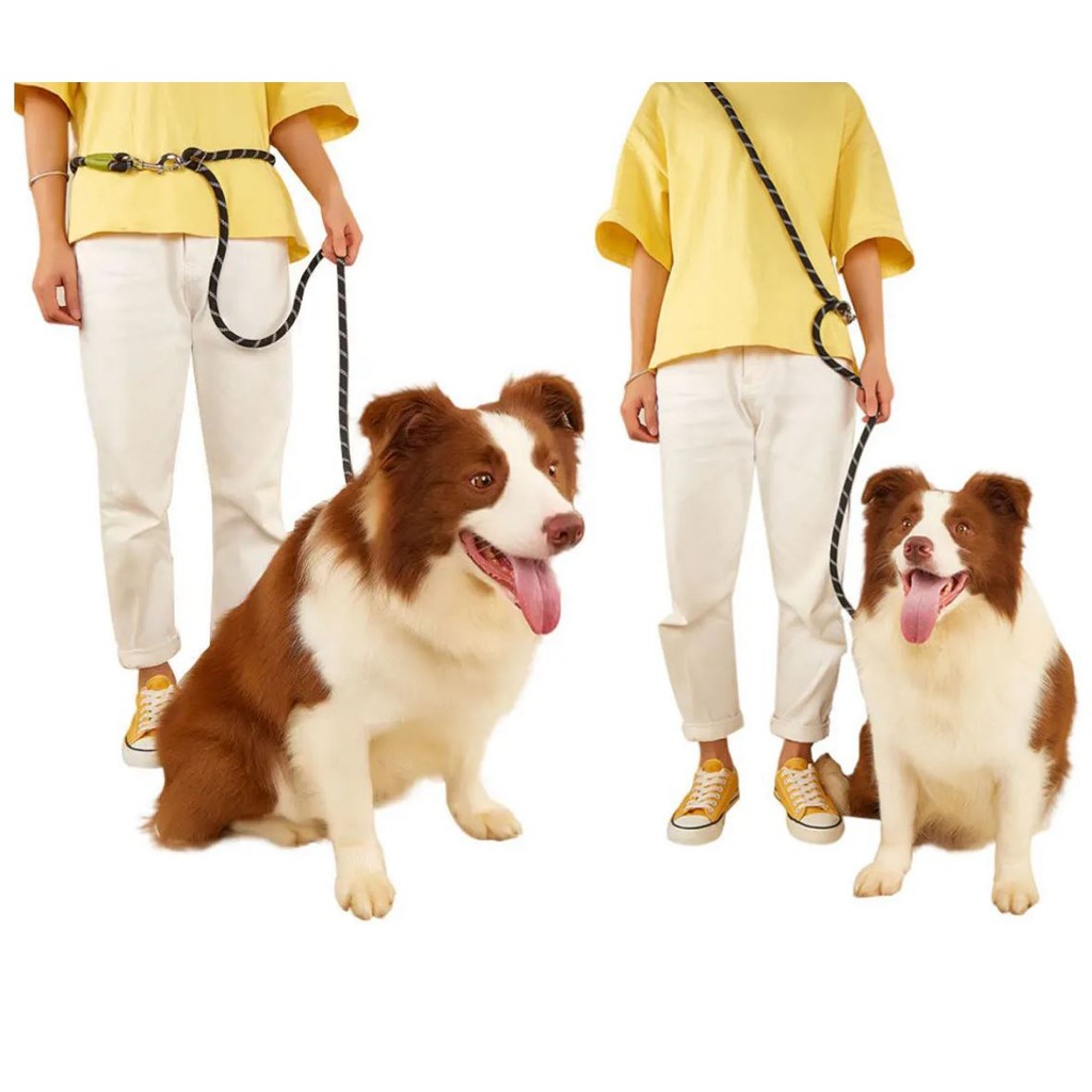 Guia de Passeio Corda Reforçada Transversal Mãos Livres 2 em 1 para Pet Cães Grande Médio e Pequeno Porte