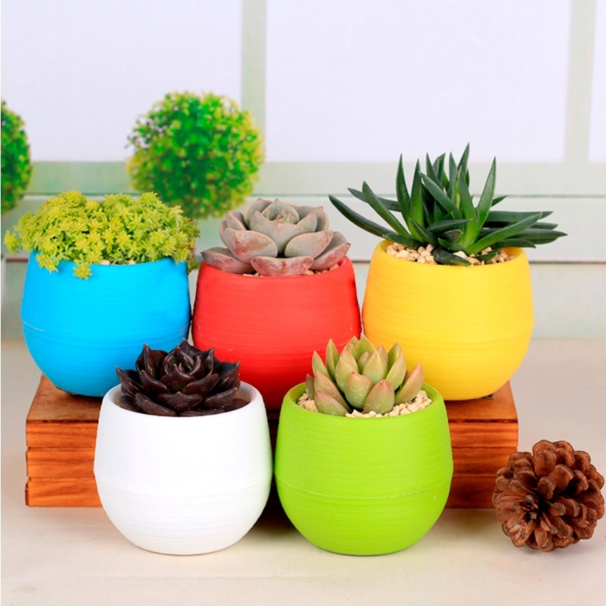 Vaso Baby Ball  Auto Irrigável e Anti - Dengue - AllGarden em Oferta na Shopee