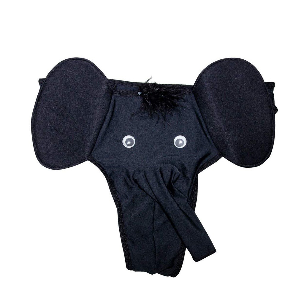 Cueca de Tromba de Elefante: Onde Comprar | BuscaProdutos