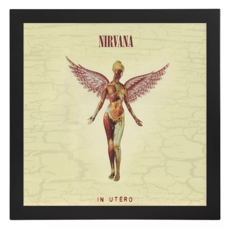 Quadro Placas Decorativas Poster geek Nirvana In Utero Capa Do Album Retro Musicas c/moldura