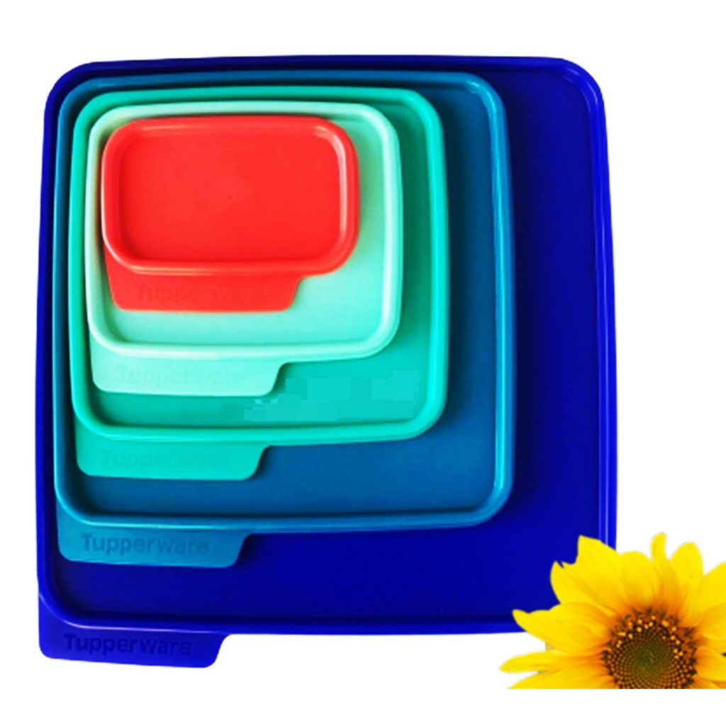 Basic Line Tupperware: Onde Comprar | BuscaProdutos