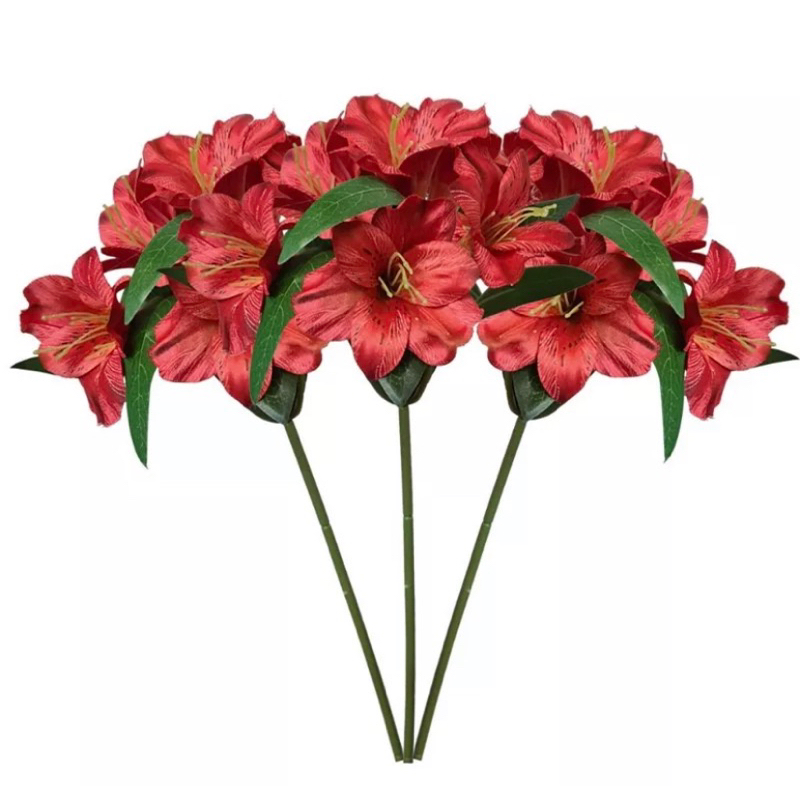 Astromélias Vermelhas: Onde Comprar | BuscaProdutos