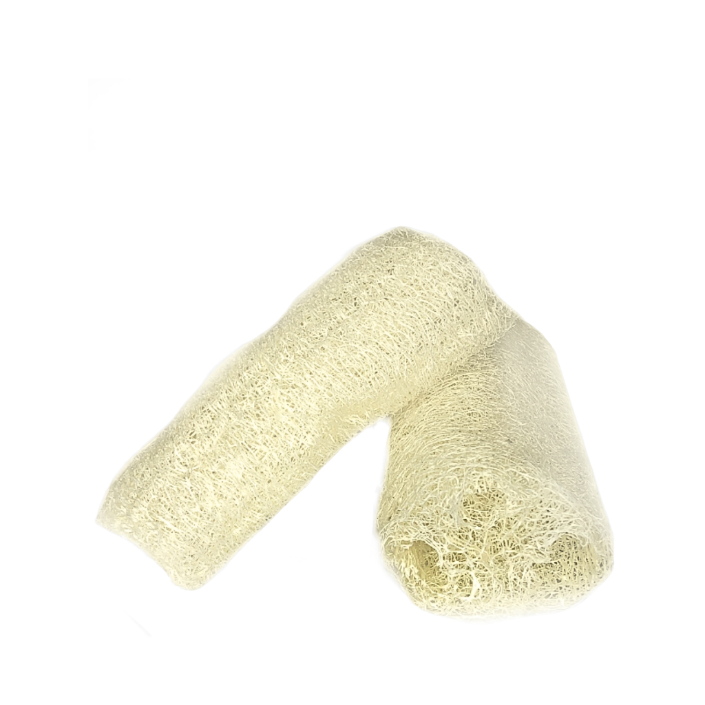 Esponja Bucha Vegetal 2 unidades Natural Ecologica 100% Natural
