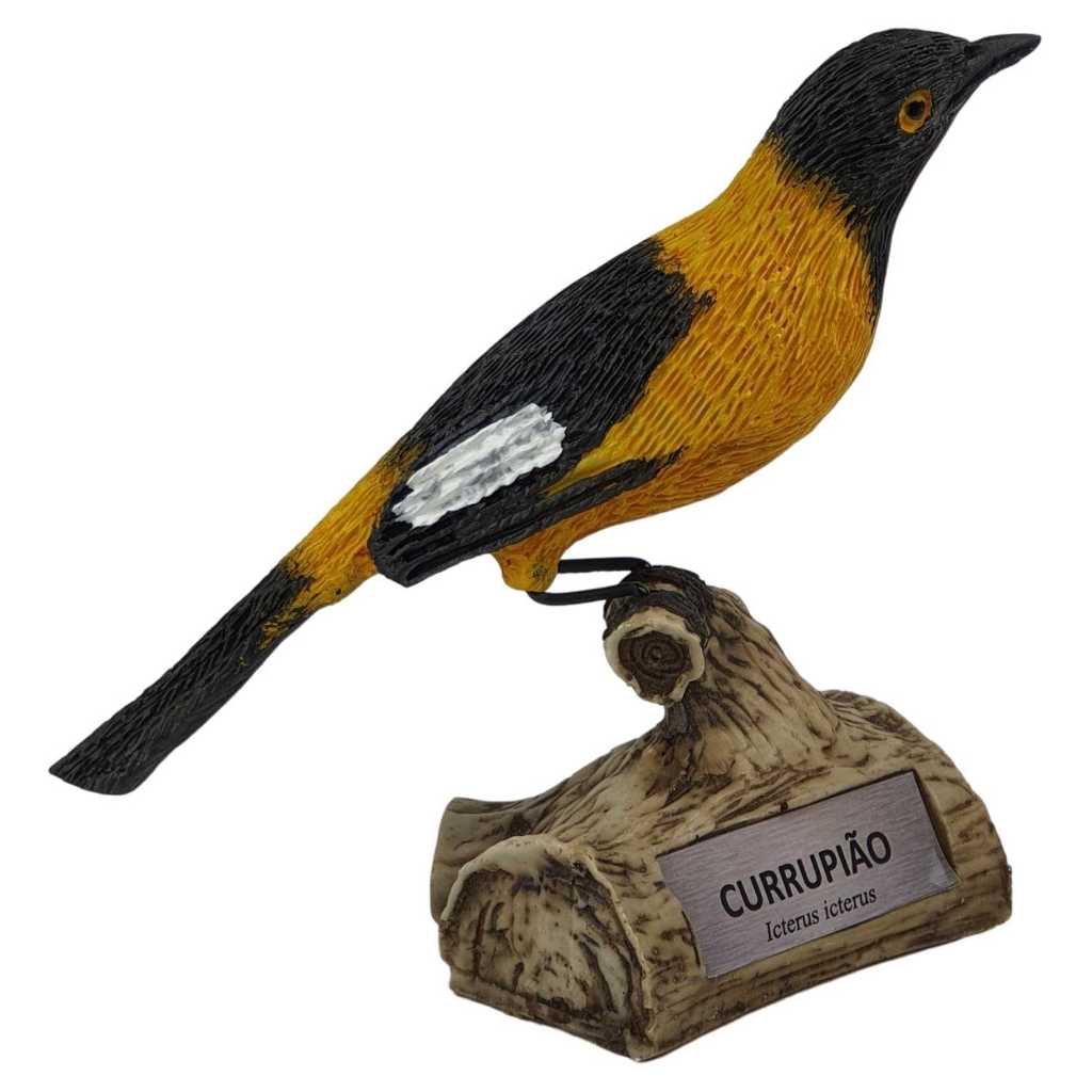 Estatueta Passarinho Trofeu Decorativo Varios Modelos Estatua Resina