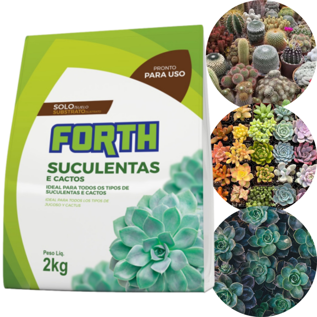 Substrato Para Cactos E Suculentas 2kg Forth