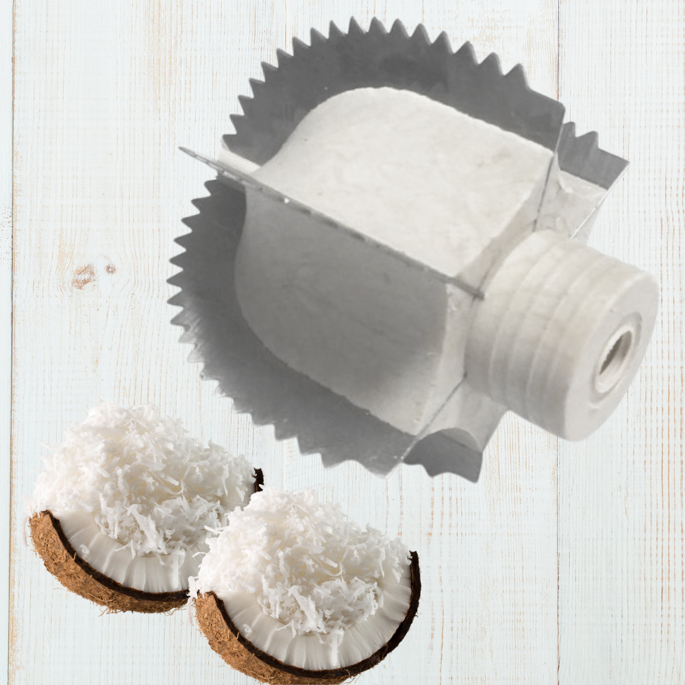 Pinhão Castanha Navalha Reforçado Para Raspador de Coco Manual Reposição