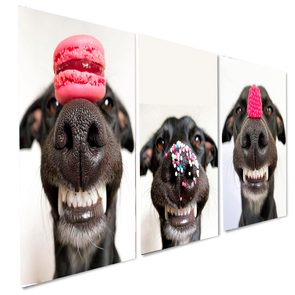 Kit 3 Quadros Decorativos Dog Cachorro ção Doce Animal 20x28 ou 40x28CM A4 A3 MDF