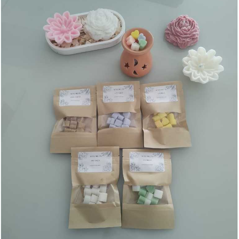 KIT 3 pacotinhos Wax Melts 16gr cada - Pastilhas Aromáticas escolha o seu preferido.