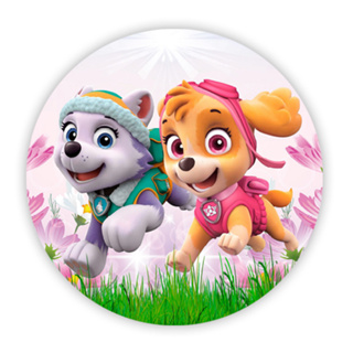 Painel Redondo Tecido Patrulha Canina Rosa Sublimado C/elástico em Oferta na Shopee