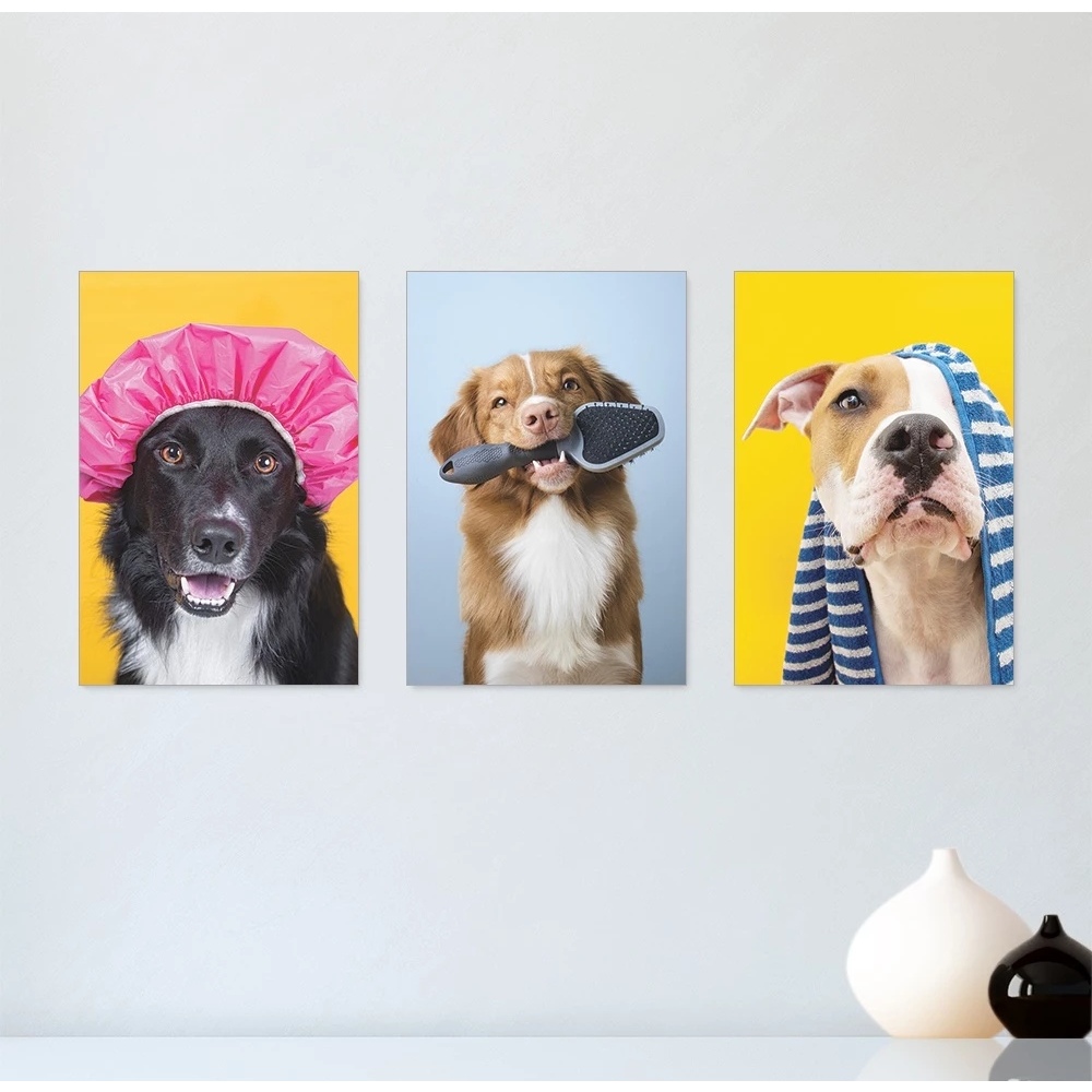Kit 3 Quadros 20x30cm Decorativos Pet Shop Cachorros  Banho Placas Decorativas