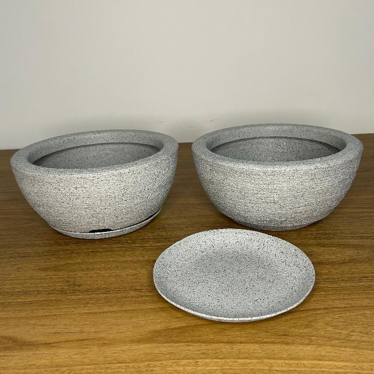 Bacia para Cactos: Onde Comprar | BuscaProdutos