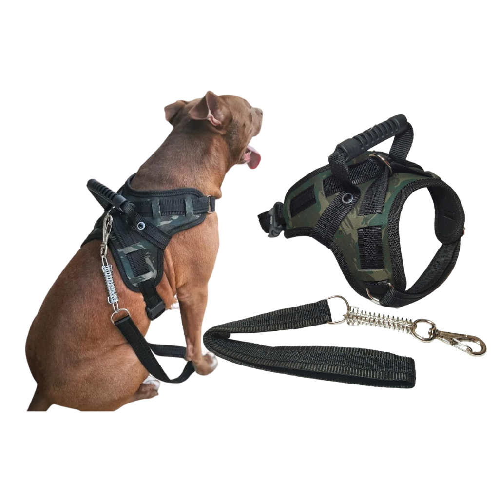 Coleira pet resistente para cachorro pitbull labrador dogo rottweiller + guia