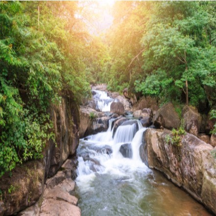 Papel de parede Cachoeira na floresta