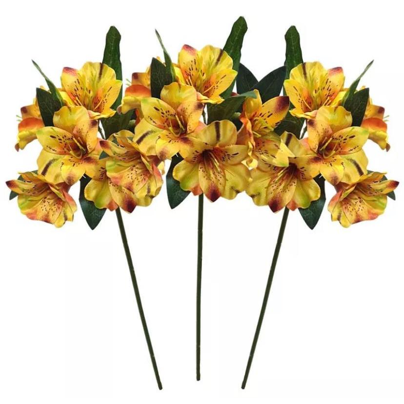 Astromélia Amarela: Onde Comprar | BuscaProdutos