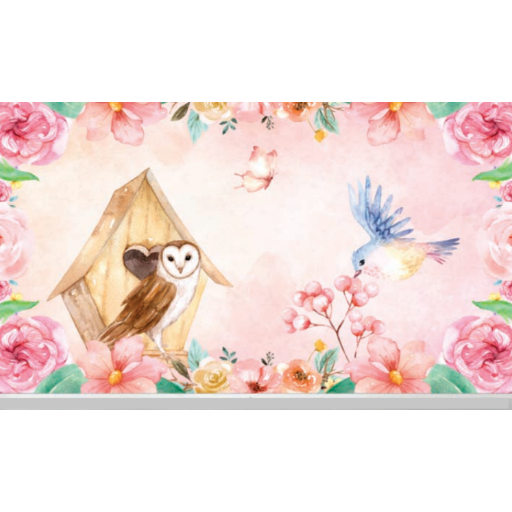 papel de parede coruja & beija flor