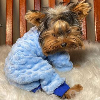 Macacão Pipoquinha Cachorro Inverno Pet em Oferta na Shopee