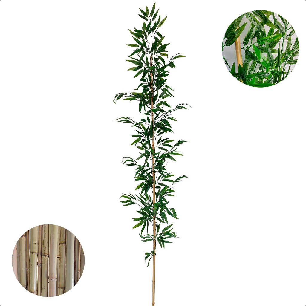 Bambu Tratado: Guia Completo e Onde Comprar | BuscaProdutos