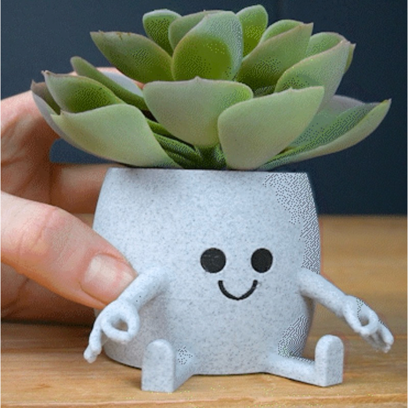 Vaso suculenta Okay - Gotcha- vasinho jardinagem