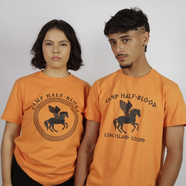 Camiseta Percy Jackson Acampamento Meio Sangue: Onde Comprar | BuscaProdutos