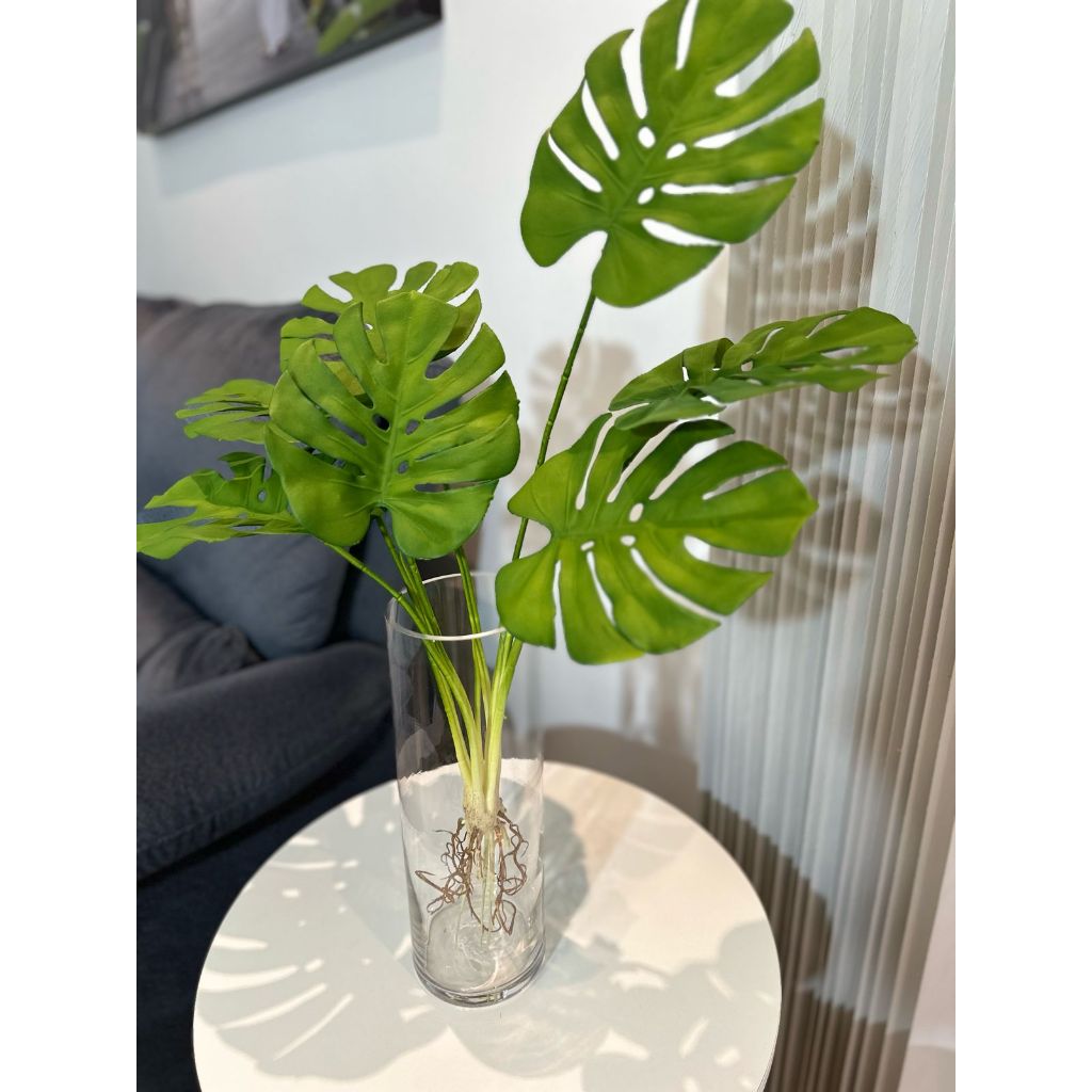 Costela De Adão Ultrarealista Artificial De Luxo Com Raiz Exposta