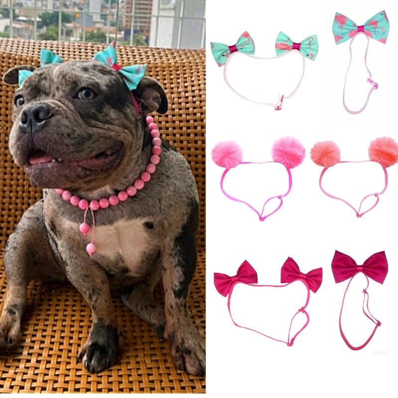 Laços Pet Banho e Tosa Tiara Pet para Pêlo Curto