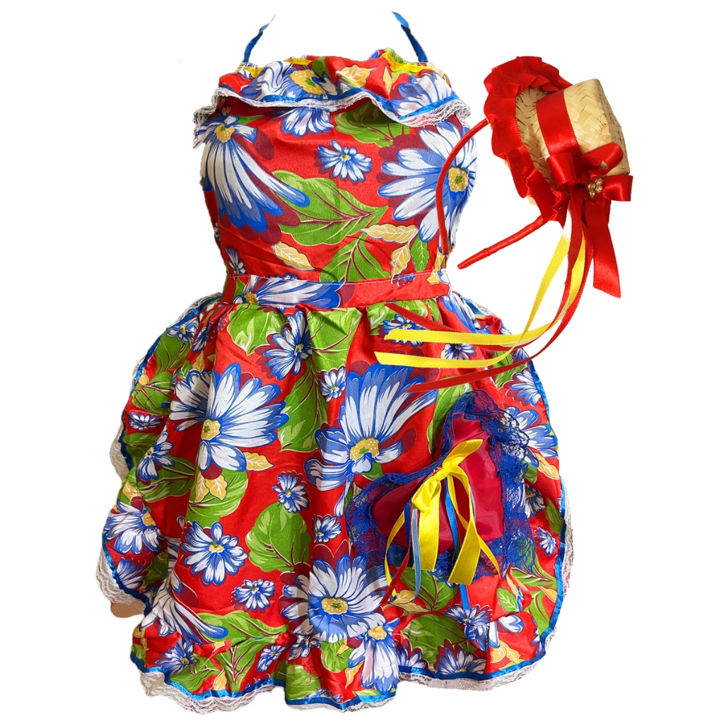 Avental Caipira Adulto: Onde Comprar | BuscaProdutos