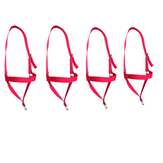 Kit 4 Cabresto Boi Vaca Com Ajuste Bovinos Fita Polipropileno em Oferta na Shopee