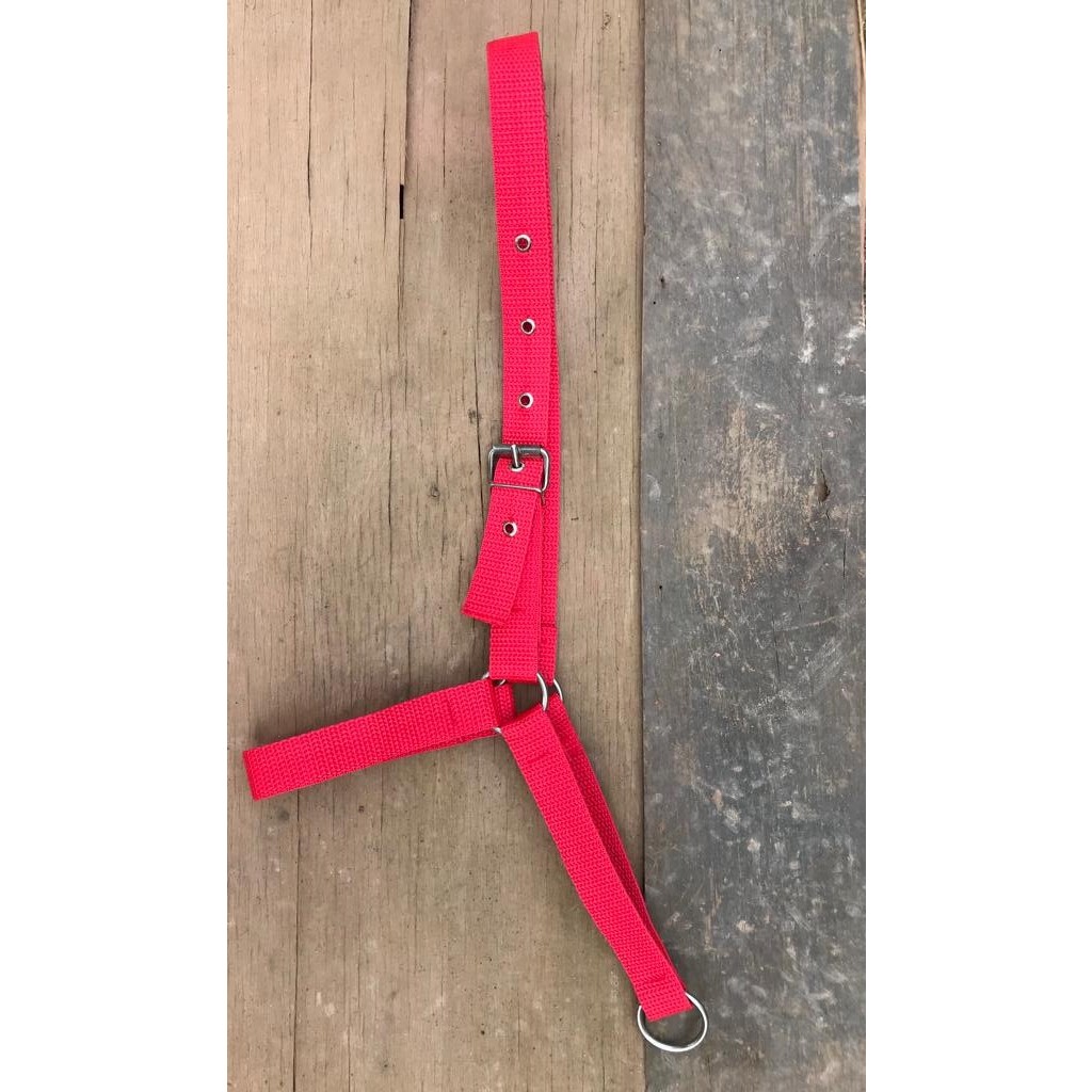 Kit 4 Cabresto Boi Vaca Com Ajuste Bovinos Fita Polipropileno