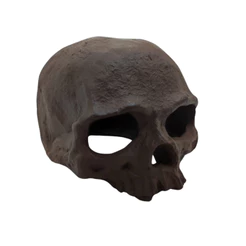 Enfeite De Ceramica Para Aquário Toca Cranio Caveira