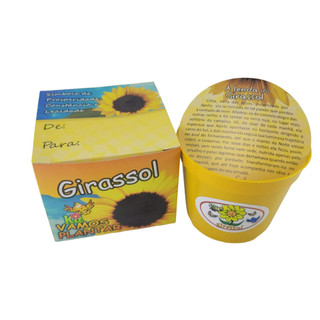 Mini Kit Vamos Plantar Girassol