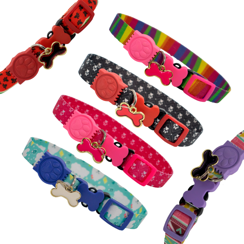 Coleira ajustável para Cachorro e gato com pingente pet em Oferta na Shopee