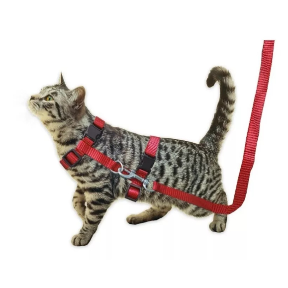 COLEIRA PEITORAL PARA GATOS COM GUIA E REGULAGEM – CONFORTÁVEL E AJUSTÁVEL em Oferta na Shopee