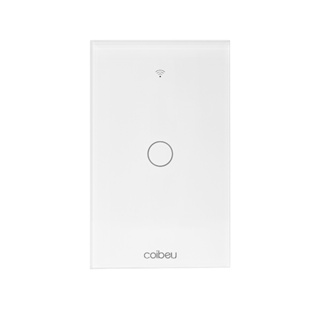 COIBEU Tuya WIFI Interruptor De Luz Inteligente 1 gang Wall Touch Switch Trabalho Com Alexa Google Home em Oferta na Shopee