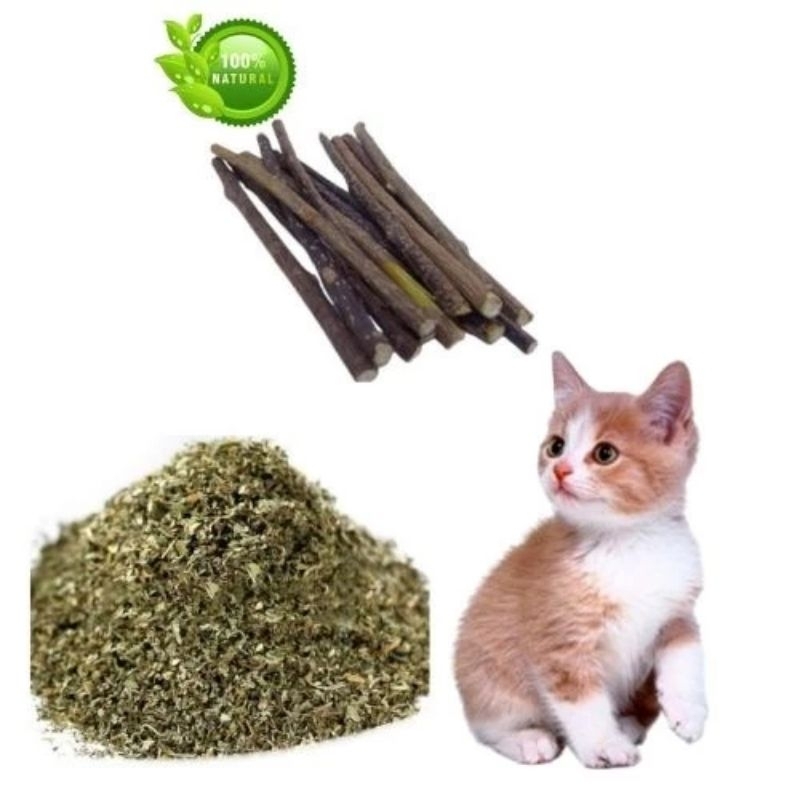 kit gatinho feliz,12 bastões de matatabi mais  catnip 10 grs os gatos amam em Oferta na Shopee
